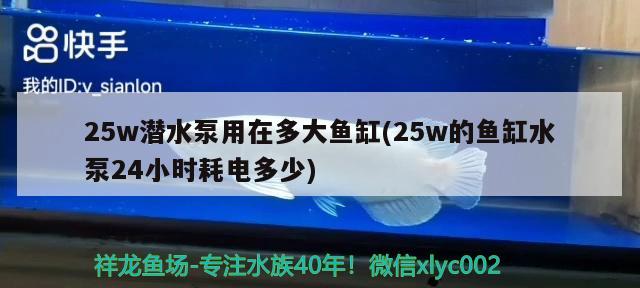 25w潛水泵用在多大魚缸(25w的魚缸水泵24小時(shí)耗電多少) 魚缸水泵