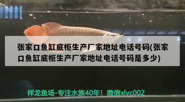 張家口魚缸底柜生產(chǎn)廠家地址電話號碼(張家口魚缸底柜生產(chǎn)廠家地址電話號碼是多少)