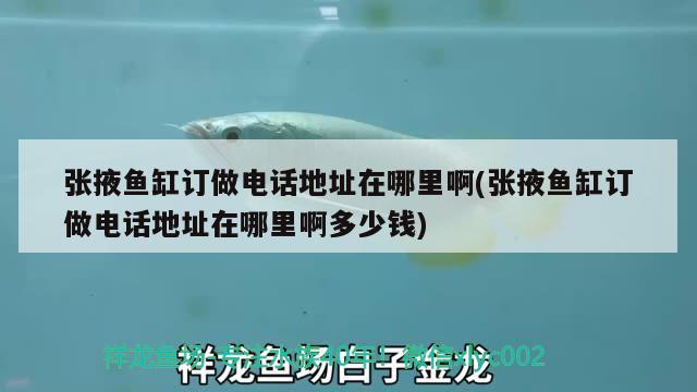 張掖魚缸訂做電話地址在哪里啊(張掖魚缸訂做電話地址在哪里啊多少錢) 泰龐海鰱魚