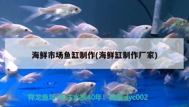 海鮮市場魚缸制作(海鮮缸制作廠家) 帝王血鉆