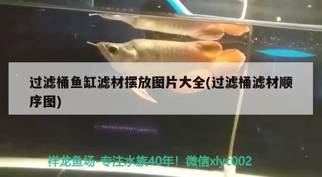 過濾桶魚缸濾材擺放圖片大全(過濾桶濾材順序圖) 龍鳳鯉魚