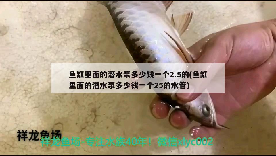 魚缸里面的潛水泵多少錢一個2.5的(魚缸里面的潛水泵多少錢一個25的水管)