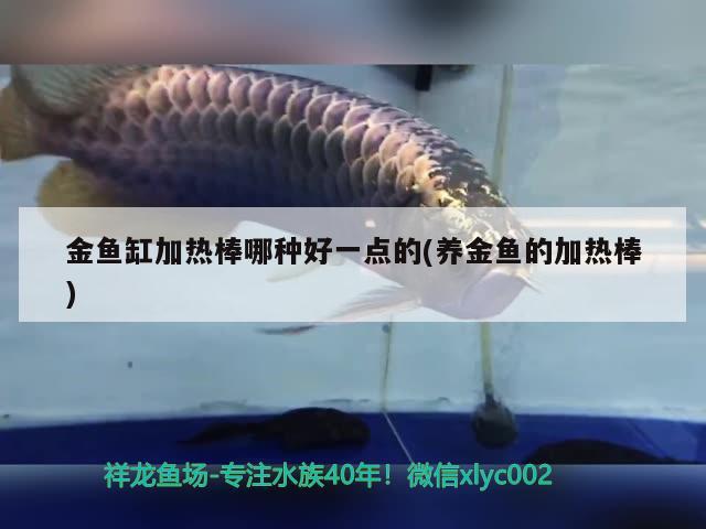 金魚缸加熱棒哪種好一點的(養(yǎng)金魚的加熱棒) PH調(diào)節(jié)劑