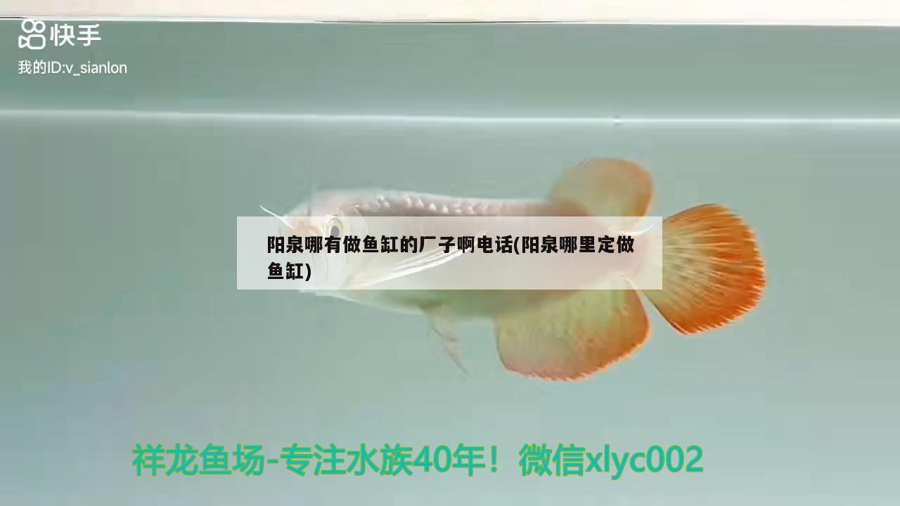 陽泉哪有做魚缸的廠子啊電話(陽泉哪里定做魚缸) 泰國虎魚