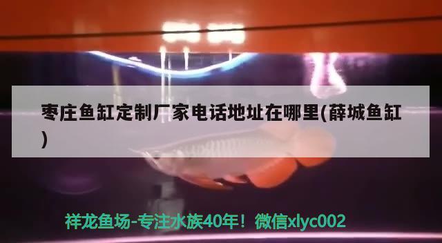 棗莊魚缸定制廠家電話地址在哪里(薛城魚缸) 魚缸/水族箱 第3張