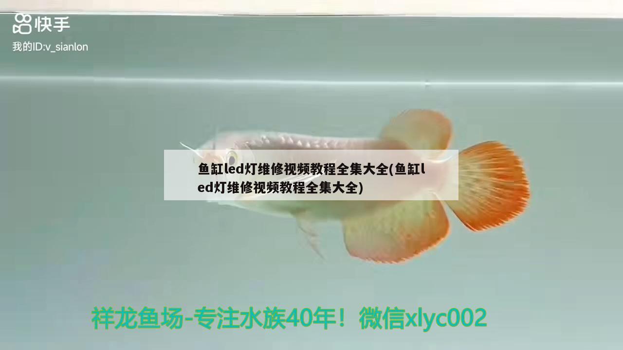 魚缸led燈維修視頻教程全集大全(魚缸led燈維修視頻教程全集大全)