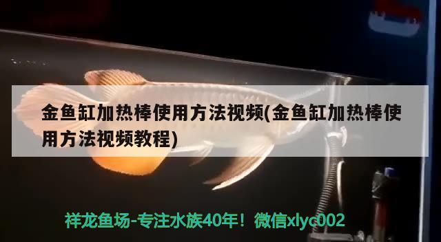 金魚缸加熱棒使用方法視頻(金魚缸加熱棒使用方法視頻教程) 祥龍傳奇品牌魚缸