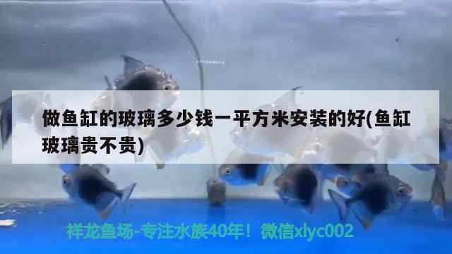 做魚缸的玻璃多少錢一平方米安裝的好(魚缸玻璃貴不貴) 觀賞魚水族批發(fā)市場(chǎng)