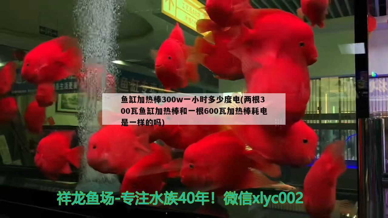 魚缸加熱棒300w一小時多少度電(兩根300瓦魚缸加熱棒和一根600瓦加熱棒耗電是一樣的嗎)