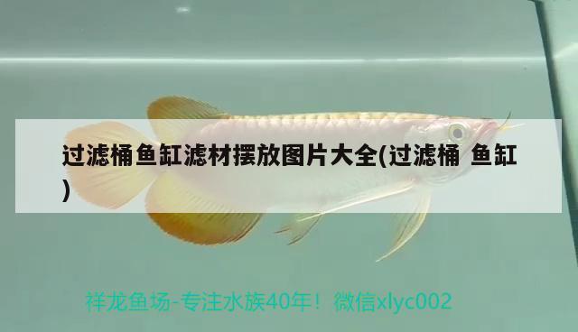 過濾桶魚缸濾材擺放圖片大全(過濾桶魚缸)