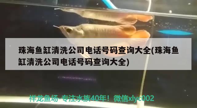 珠海魚缸清洗公司電話號碼查詢大全(珠海魚缸清洗公司電話號碼查詢大全) 白子銀龍魚苗