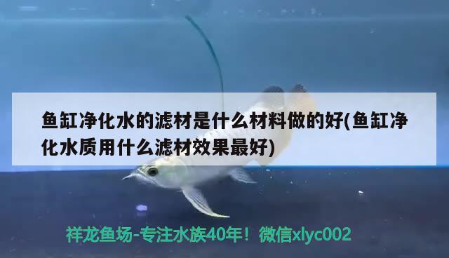 魚缸凈化水的濾材是什么材料做的好(魚缸凈化水質用什么濾材效果最好)