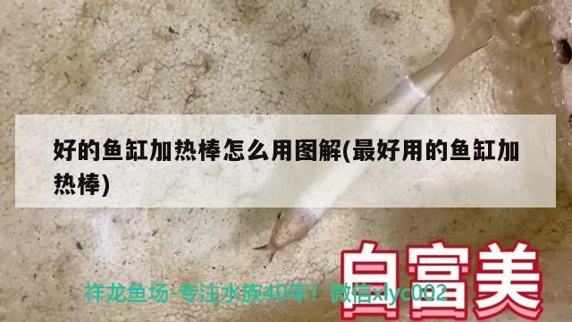 好的魚缸加熱棒怎么用圖解(最好用的魚缸加熱棒)