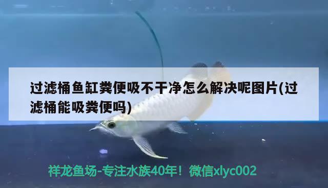 過濾桶魚缸糞便吸不干凈怎么解決呢圖片(過濾桶能吸糞便嗎) 噴點菠蘿魚