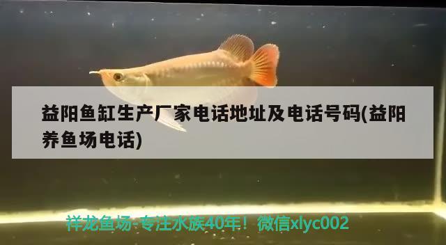 益陽魚缸生產(chǎn)廠家電話地址及電話號(hào)碼(益陽養(yǎng)魚場(chǎng)電話) 水溫計(jì)