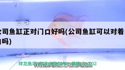 公司魚缸正對門口好嗎(公司魚缸可以對著門口嗎)