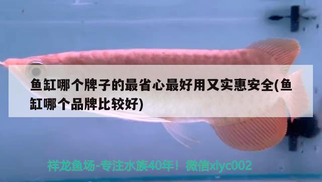 魚(yú)缸哪個(gè)牌子的最省心最好用又實(shí)惠安全(魚(yú)缸哪個(gè)品牌比較好) 野生埃及神仙魚(yú)