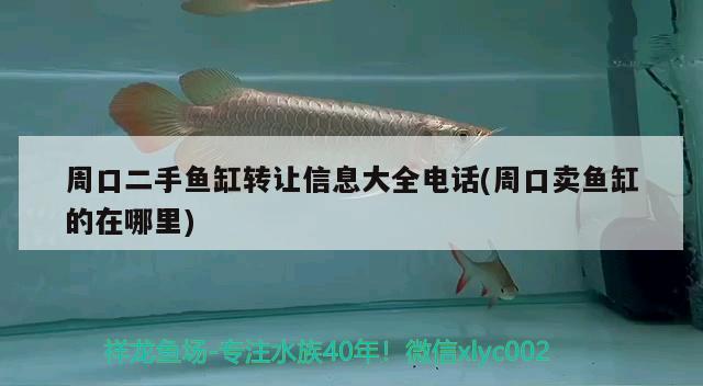 周口二手魚缸轉(zhuǎn)讓信息大全電話(周口賣魚缸的在哪里)