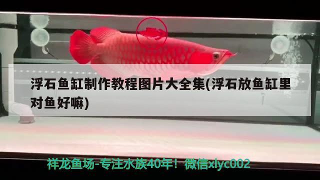 浮石魚(yú)缸制作教程圖片大全集(浮石放魚(yú)缸里對(duì)魚(yú)好嘛)