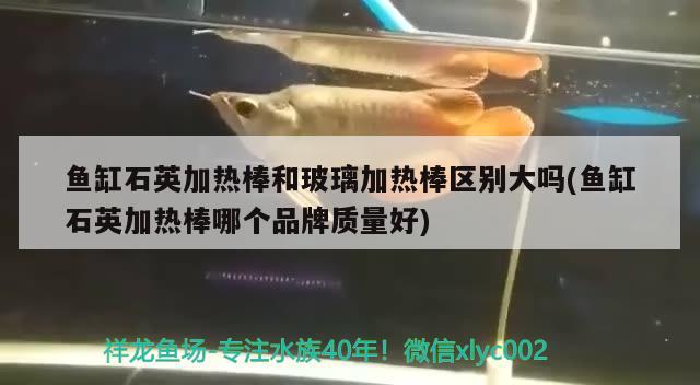 魚缸石英加熱棒和玻璃加熱棒區(qū)別大嗎(魚缸石英加熱棒哪個(gè)品牌質(zhì)量好)