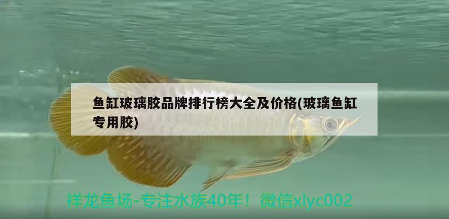 魚缸玻璃膠品牌排行榜大全及價(jià)格(玻璃魚缸專用膠) 祥龍水族濾材/器材