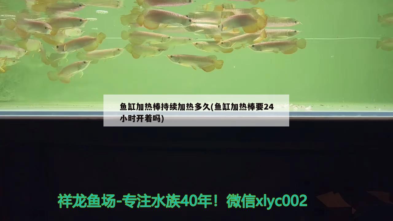 魚缸加熱棒持續(xù)加熱多久(魚缸加熱棒要24小時開著嗎)