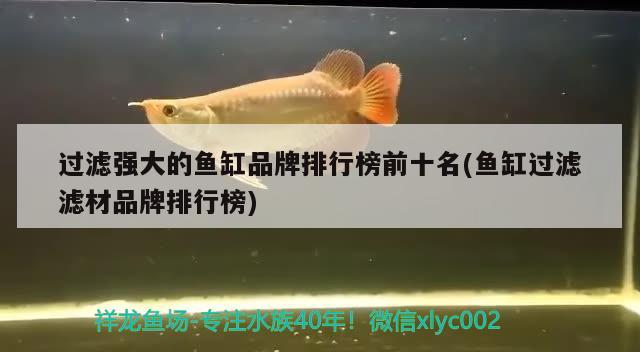 過濾強大的魚缸品牌排行榜前十名(魚缸過濾濾材品牌排行榜)