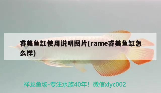 睿美魚缸使用說明圖片(rame睿美魚缸怎么樣) 過背金龍魚