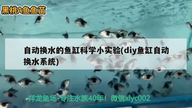 自動(dòng)換水的魚缸科學(xué)小實(shí)驗(yàn)(diy魚缸自動(dòng)換水系統(tǒng))