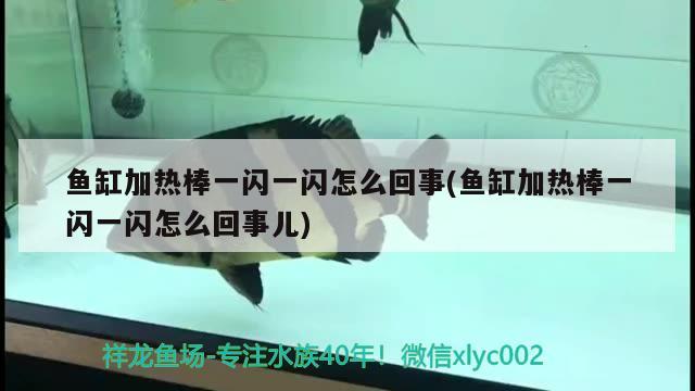 魚(yú)缸加熱棒一閃一閃怎么回事(魚(yú)缸加熱棒一閃一閃怎么回事兒)