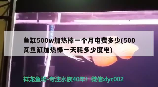 魚缸500w加熱棒一個(gè)月電費(fèi)多少(500瓦魚缸加熱棒一天耗多少度電) 朱巴利魚