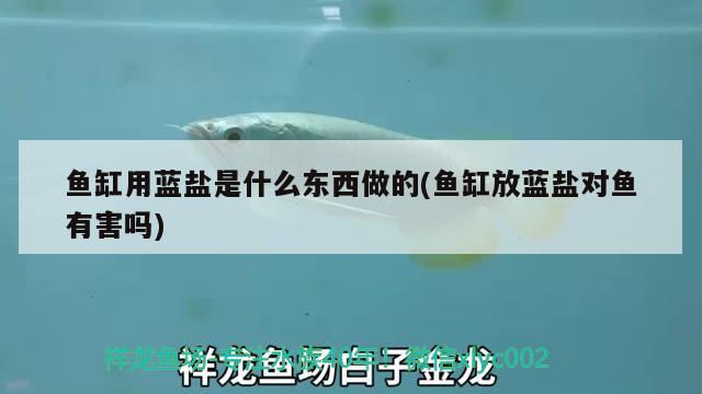 魚缸用藍(lán)鹽是什么東西做的(魚缸放藍(lán)鹽對(duì)魚有害嗎)