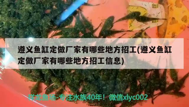 遵義魚缸定做廠家有哪些地方招工(遵義魚缸定做廠家有哪些地方招工信息)