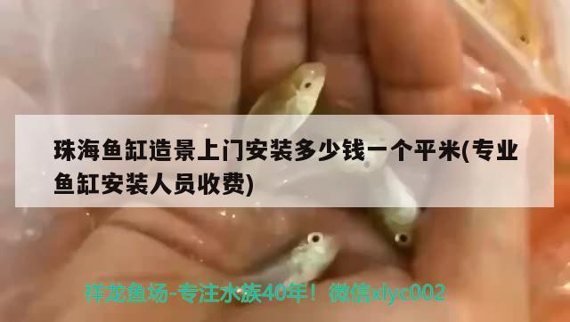 珠海魚缸造景上門安裝多少錢一個平米(專業(yè)魚缸安裝人員收費(fèi)) 一眉道人魚苗