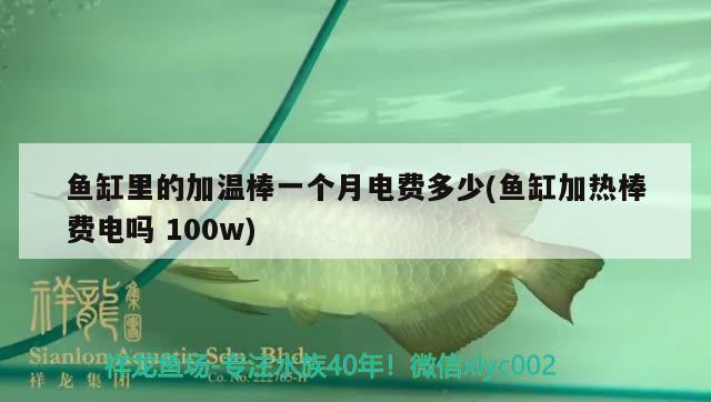 魚缸里的加溫棒一個(gè)月電費(fèi)多少(魚缸加熱棒費(fèi)電嗎100w)