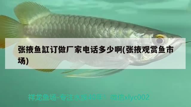 張掖魚缸訂做廠家電話多少啊(張掖觀賞魚市場) 觀賞魚市場（混養(yǎng)魚）