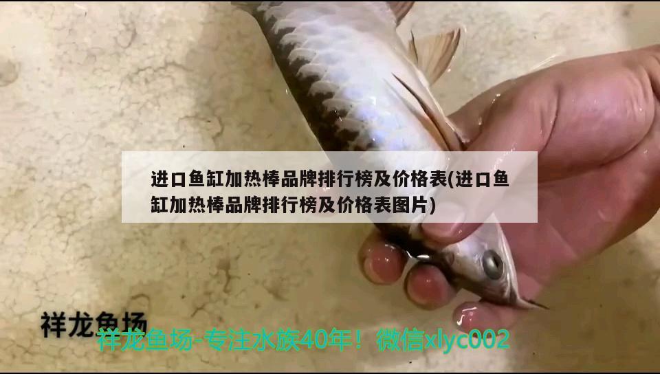 進口魚缸加熱棒品牌排行榜及價格表(進口魚缸加熱棒品牌排行榜及價格表圖片) 羅漢魚批發(fā)