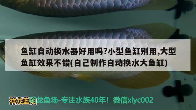 魚(yú)缸自動(dòng)換水器好用嗎?小型魚(yú)缸別用,大型魚(yú)缸效果不錯(cuò)(自己制作自動(dòng)換水大魚(yú)缸)