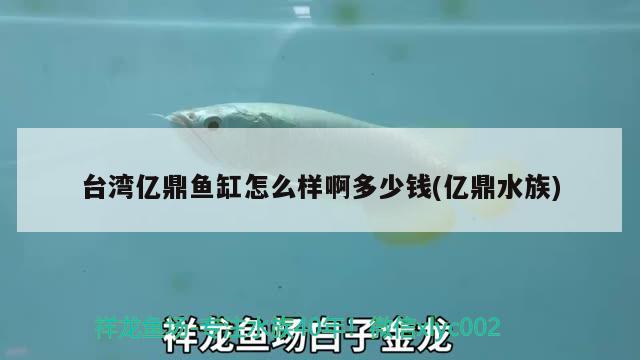 臺(tái)灣億鼎魚(yú)缸怎么樣啊多少錢(億鼎水族) 粗線銀版魚(yú)苗