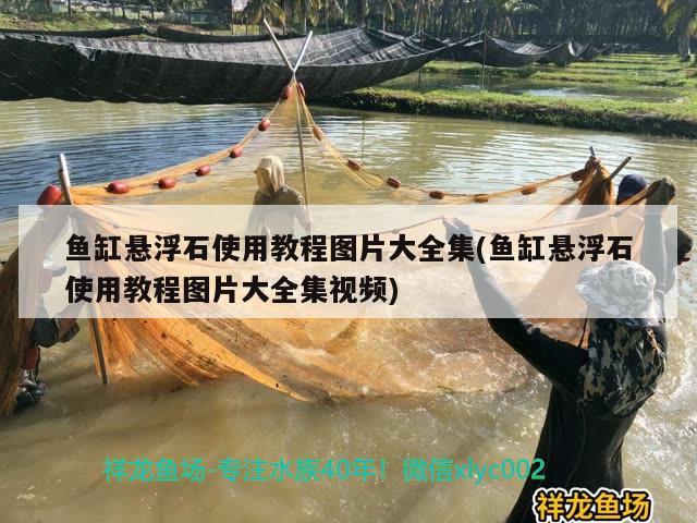 魚缸懸浮石使用教程圖片大全集(魚缸懸浮石使用教程圖片大全集視頻) 大嘴鯨魚