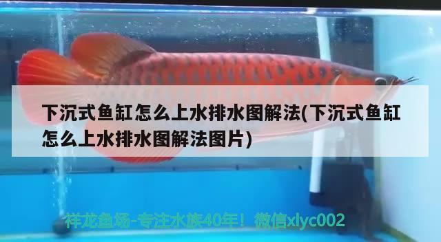 下沉式魚缸怎么上水排水圖解法(下沉式魚缸怎么上水排水圖解法圖片)