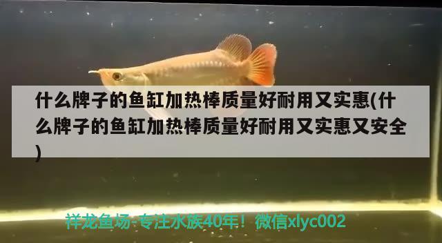 什么牌子的魚(yú)缸加熱棒質(zhì)量好耐用又實(shí)惠(什么牌子的魚(yú)缸加熱棒質(zhì)量好耐用又實(shí)惠又安全) 泰國(guó)虎魚(yú) 第2張