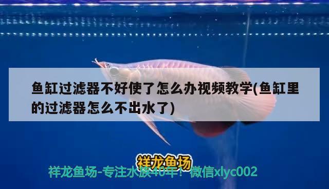 魚缸過(guò)濾器不好使了怎么辦視頻教學(xué)(魚缸里的過(guò)濾器怎么不出水了)