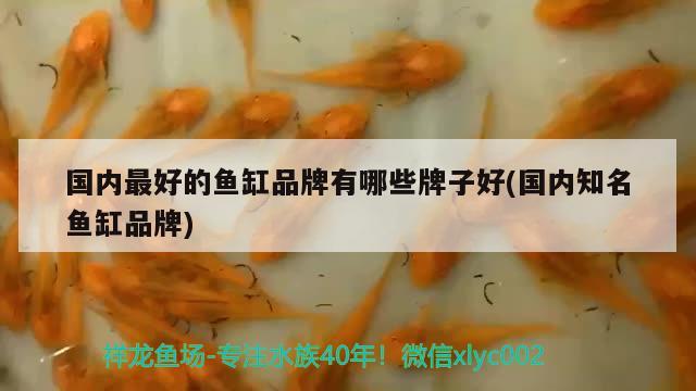 國內(nèi)最好的魚缸品牌有哪些牌子好(國內(nèi)知名魚缸品牌)