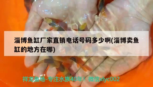 淄博魚缸廠家直銷電話號碼多少啊(淄博賣魚缸的地方在哪)