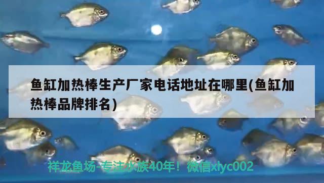 魚缸加熱棒生產(chǎn)廠家電話地址在哪里(魚缸加熱棒品牌排名)