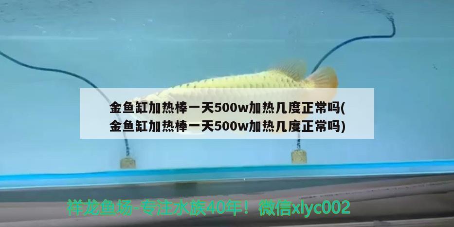 金魚缸加熱棒一天500w加熱幾度正常嗎(金魚缸加熱棒一天500w加熱幾度正常嗎)