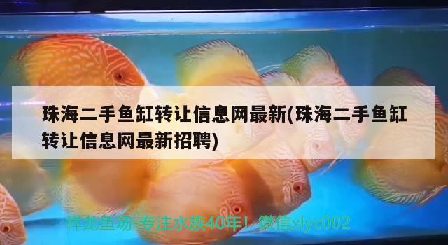 珠海二手魚缸轉讓信息網(wǎng)最新(珠海二手魚缸轉讓信息網(wǎng)最新招聘)