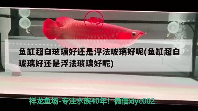 魚缸超白玻璃好還是浮法玻璃好呢(魚缸超白玻璃好還是浮法玻璃好呢)