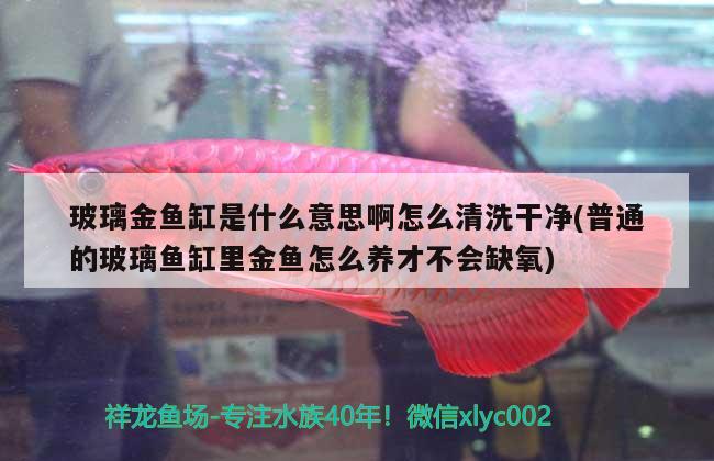 玻璃金魚缸是什么意思啊怎么清洗干凈(普通的玻璃魚缸里金魚怎么養(yǎng)才不會缺氧) 水溫計 第1張